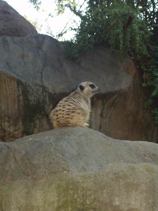 2003