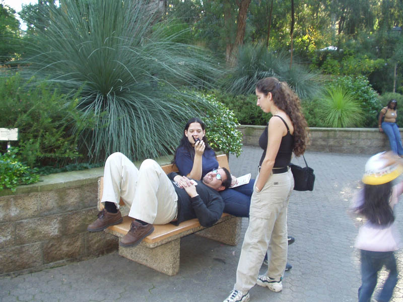 2003