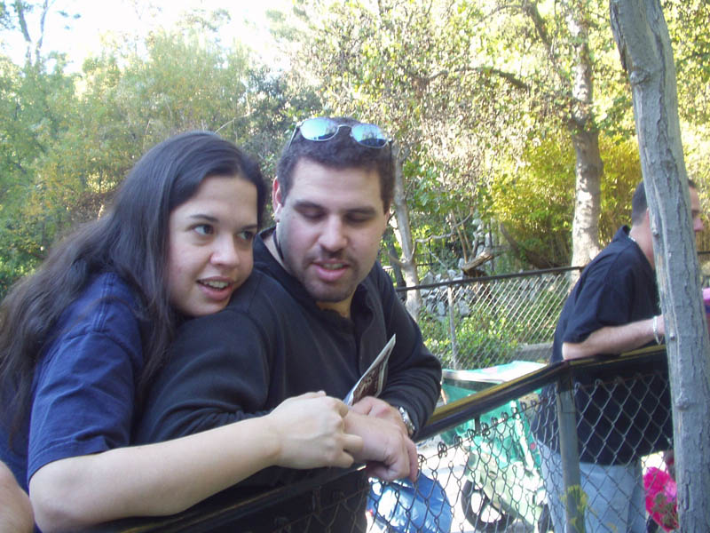 2003