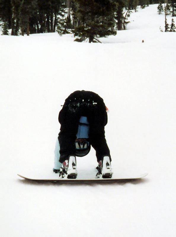 Mammoth32