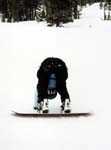 Mammoth32