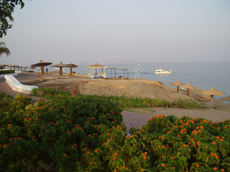 2003 Sharm 057
