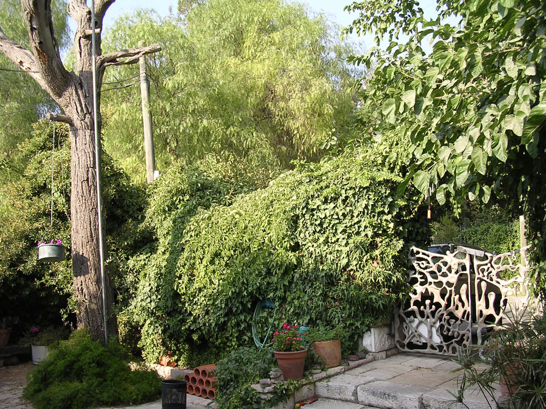 DSCN4195