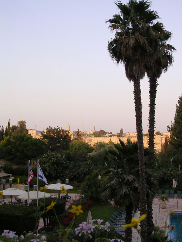 DSCN4331
