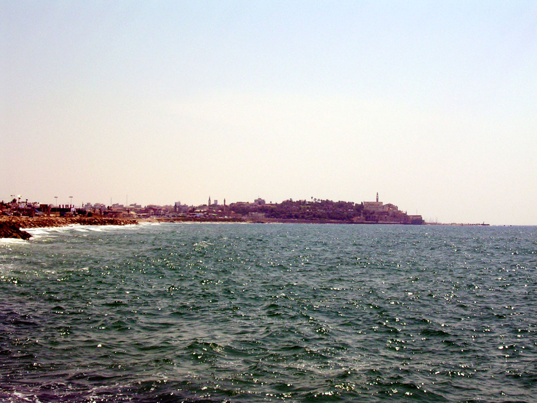 DSCN4381