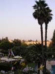 DSCN4331