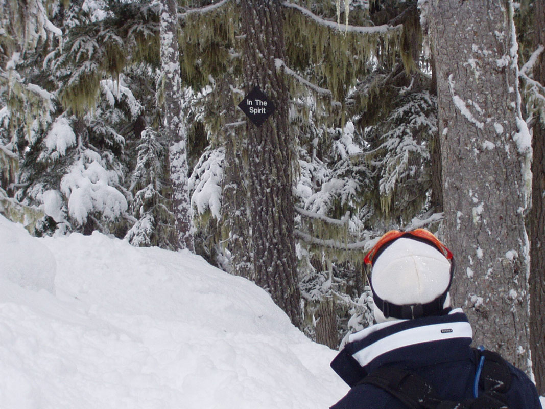 2003 Whistler 111