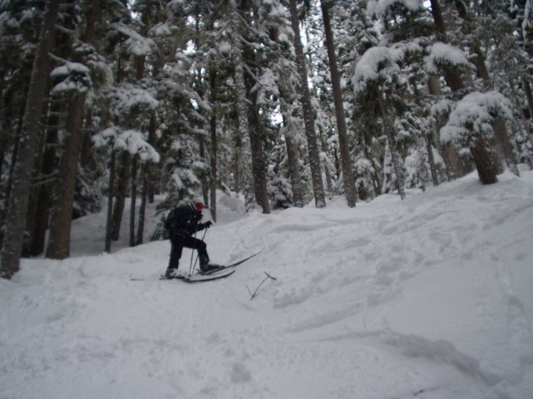 2003 Whistler 115