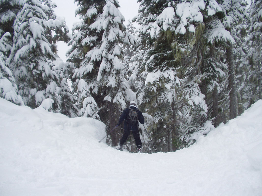 2003 Whistler 122