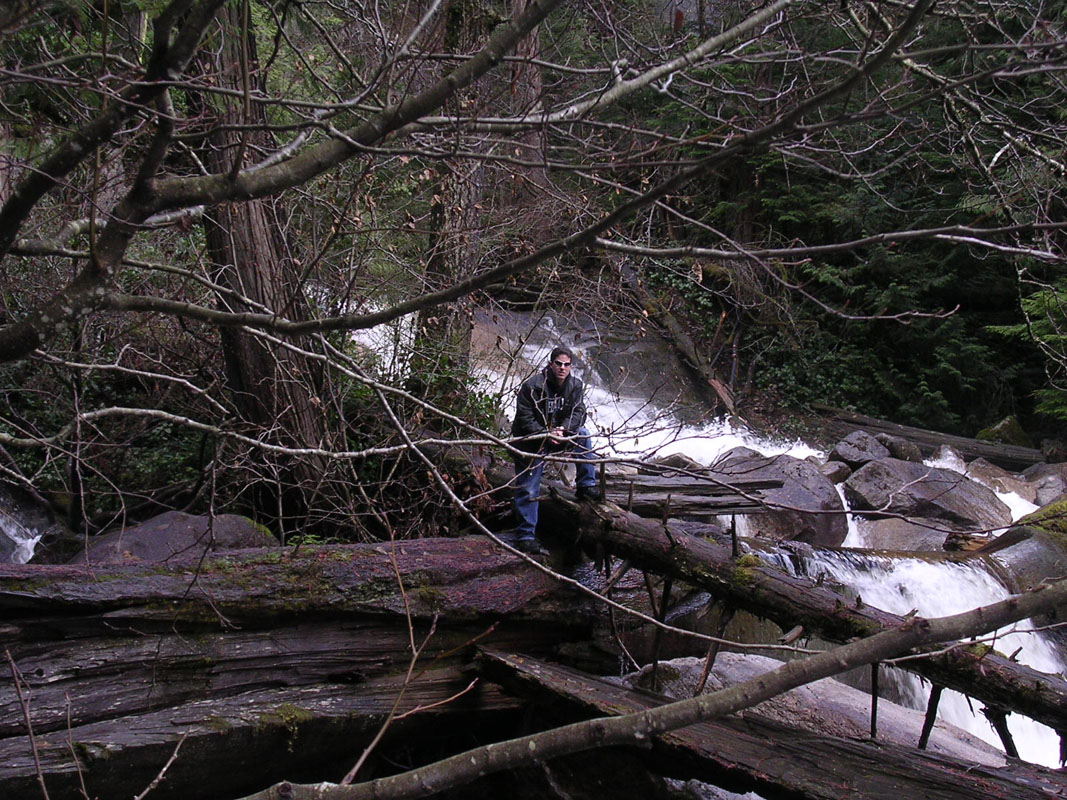 2003 Whistler 253