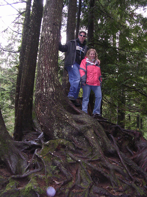 2003 Whistler 257