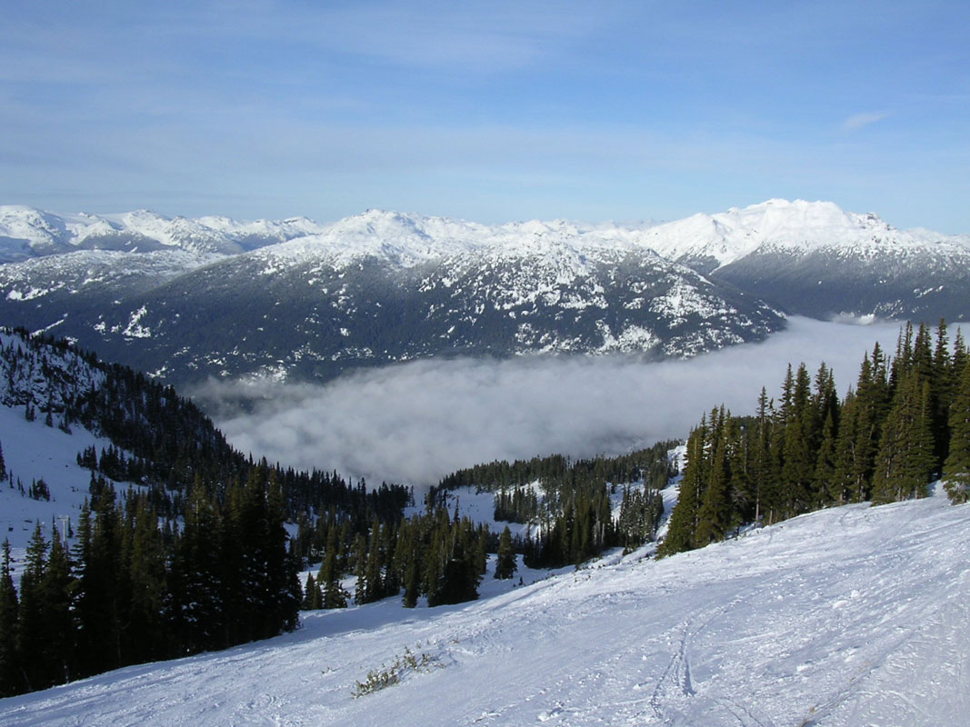 2003 Whistler 475