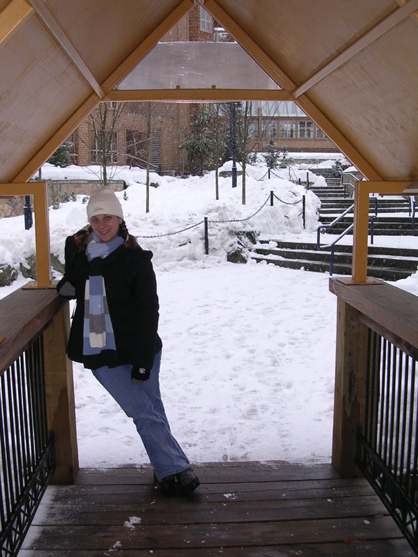 2003 Whistler 513