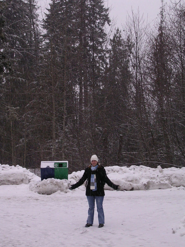 2003 Whistler 521
