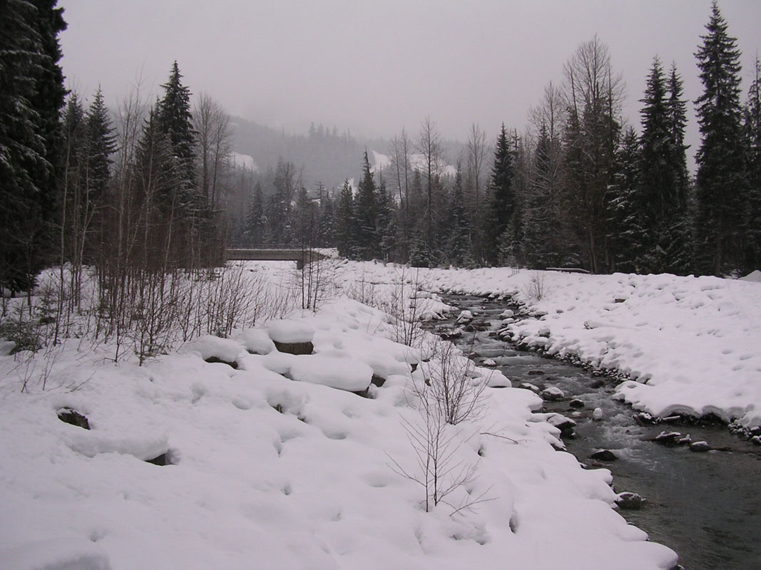 2003 Whistler 527