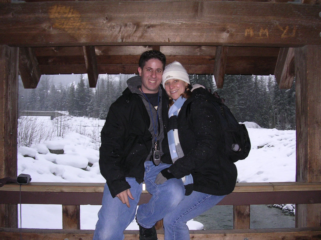 2003 Whistler 528