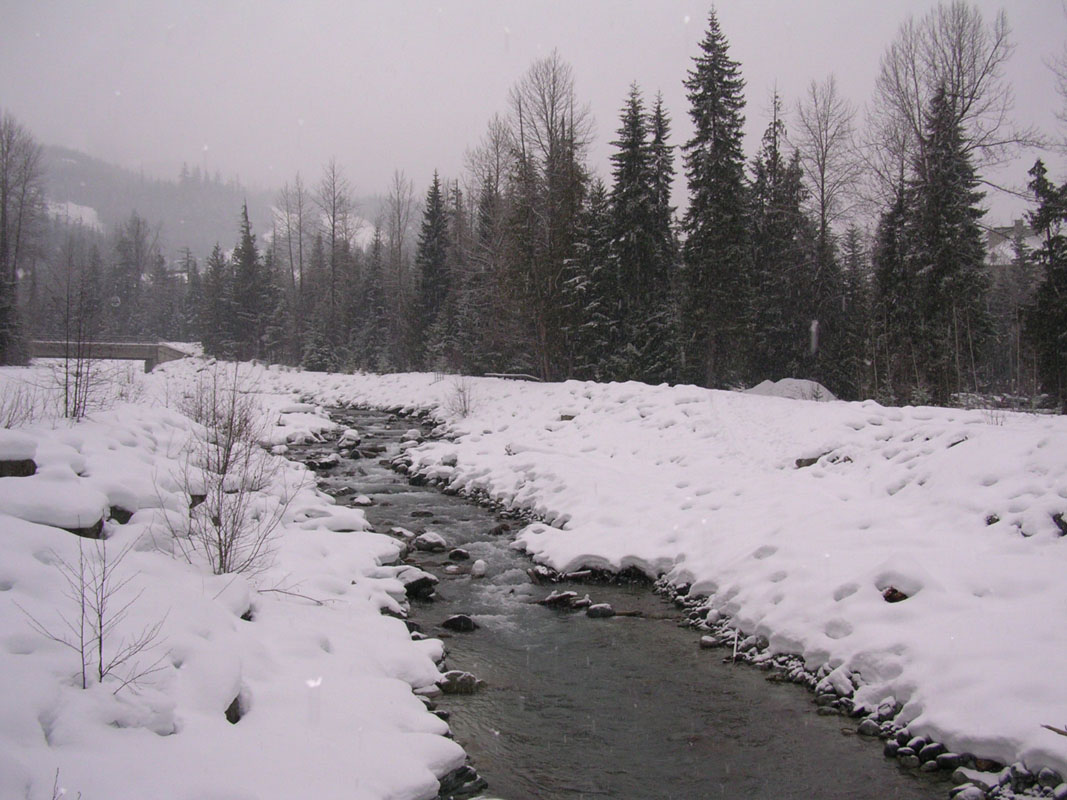 2003 Whistler 531