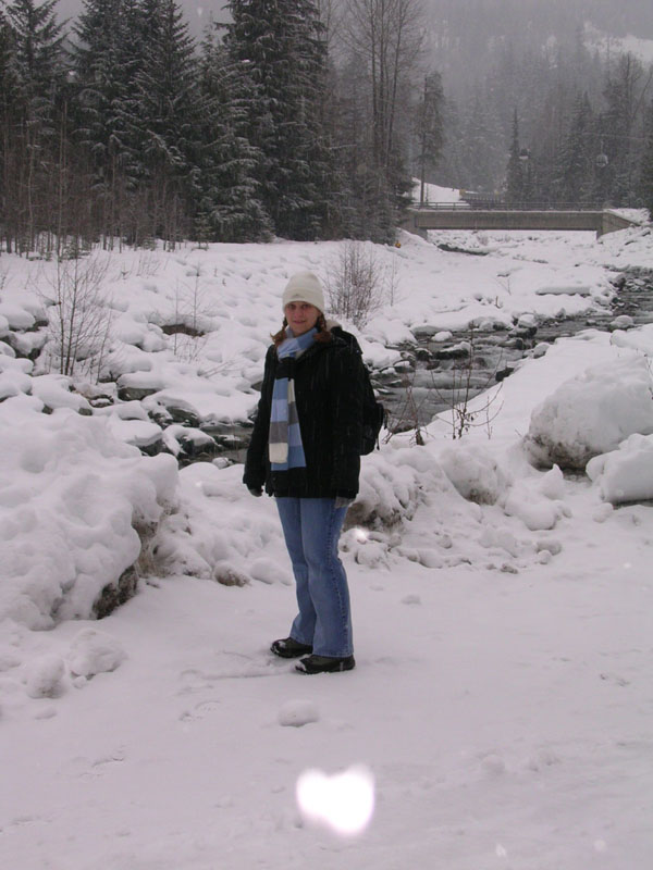 2003 Whistler 532