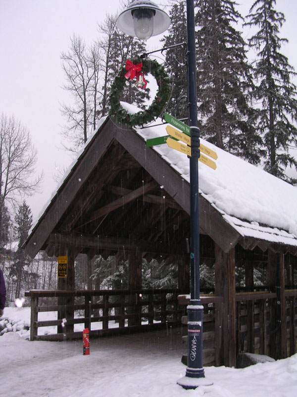 2003 Whistler 534