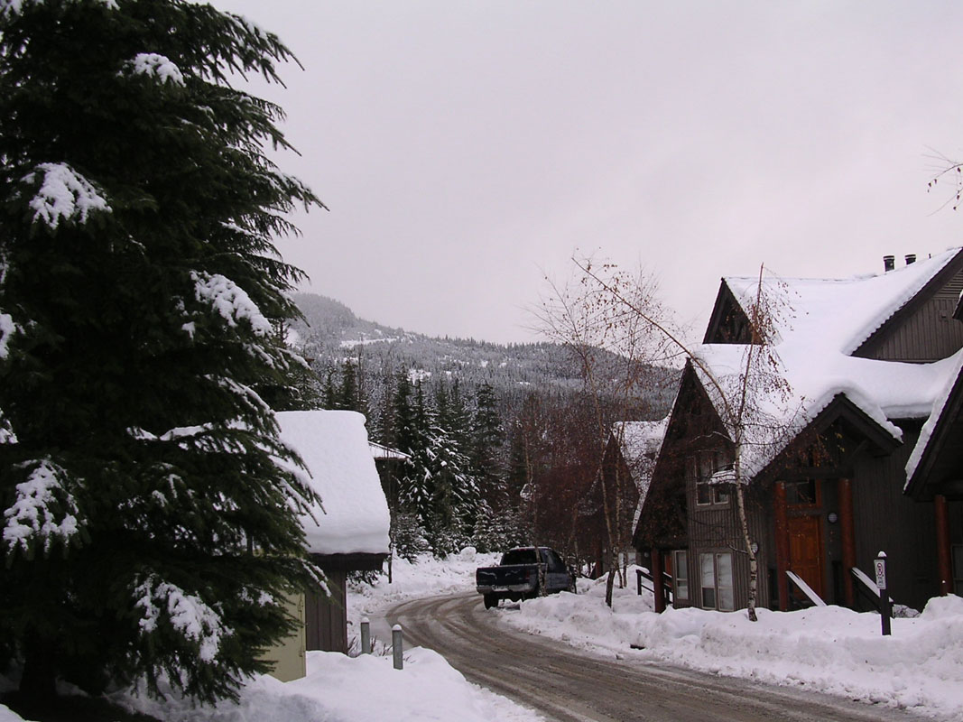 2003 Whistler 558