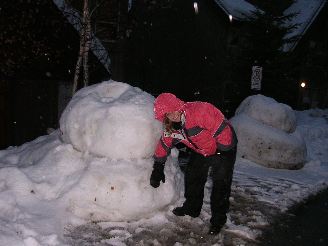 2003 Whistler 599