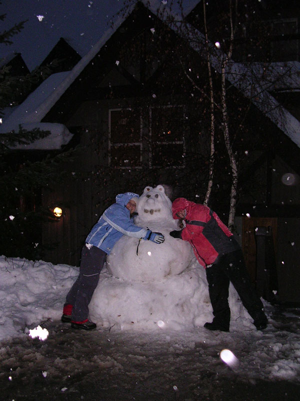 2003 Whistler 600