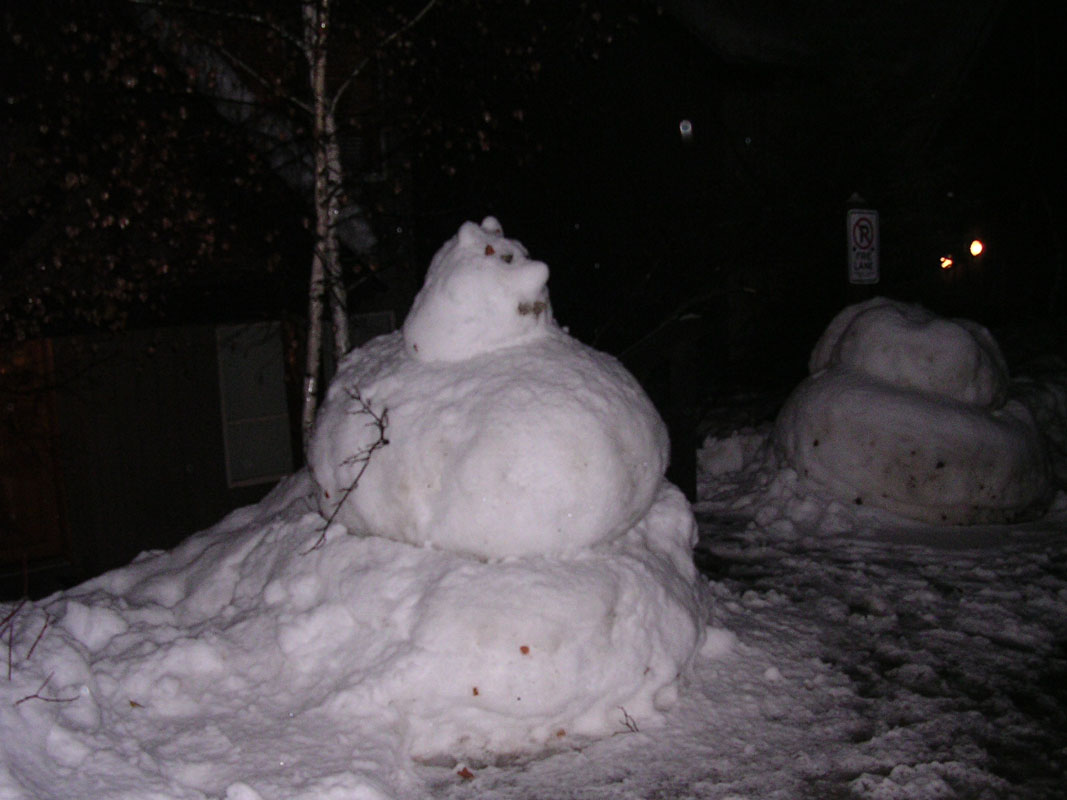 2003 Whistler 623