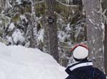 2003 Whistler 111