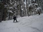2003 Whistler 115