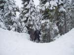 2003 Whistler 122