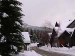 2003 Whistler 558