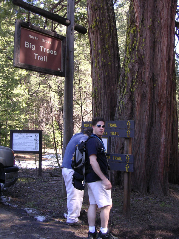 2004 Big Trees 035