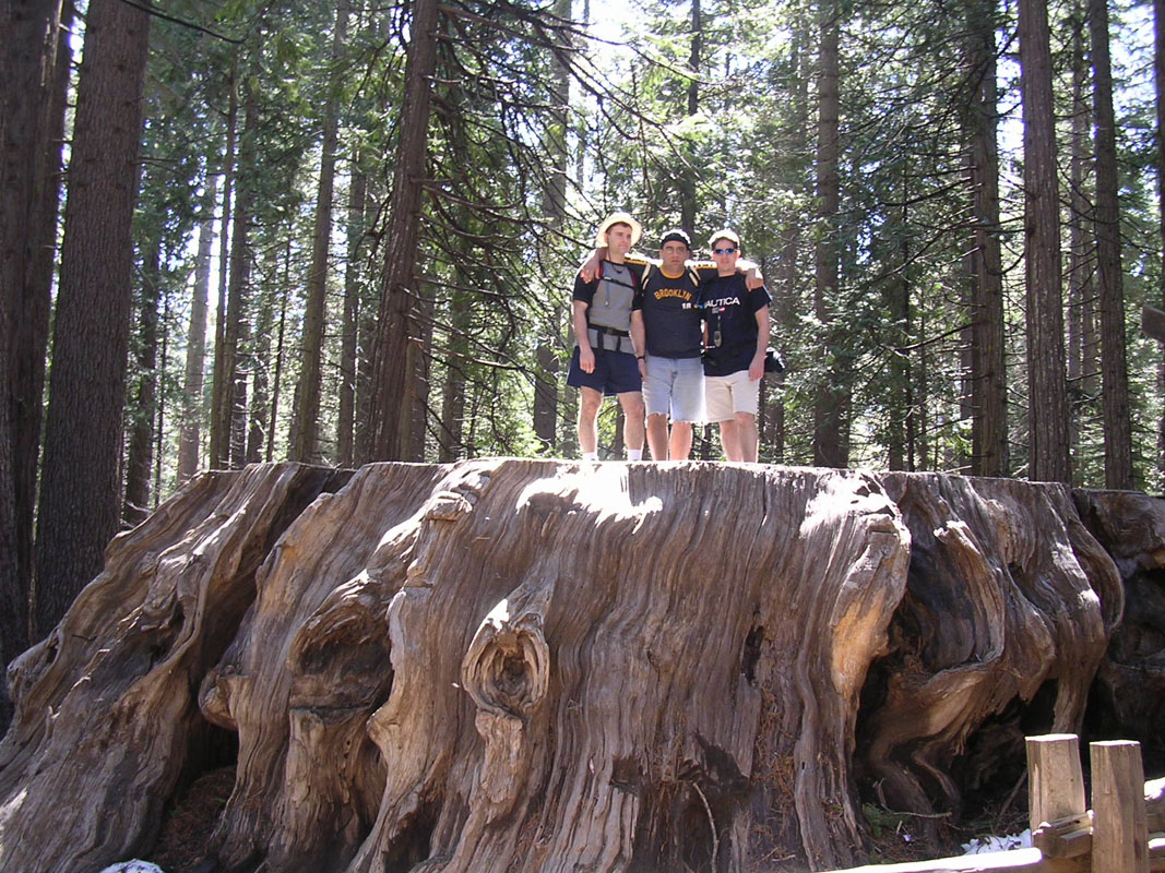 2004 Big Trees 038