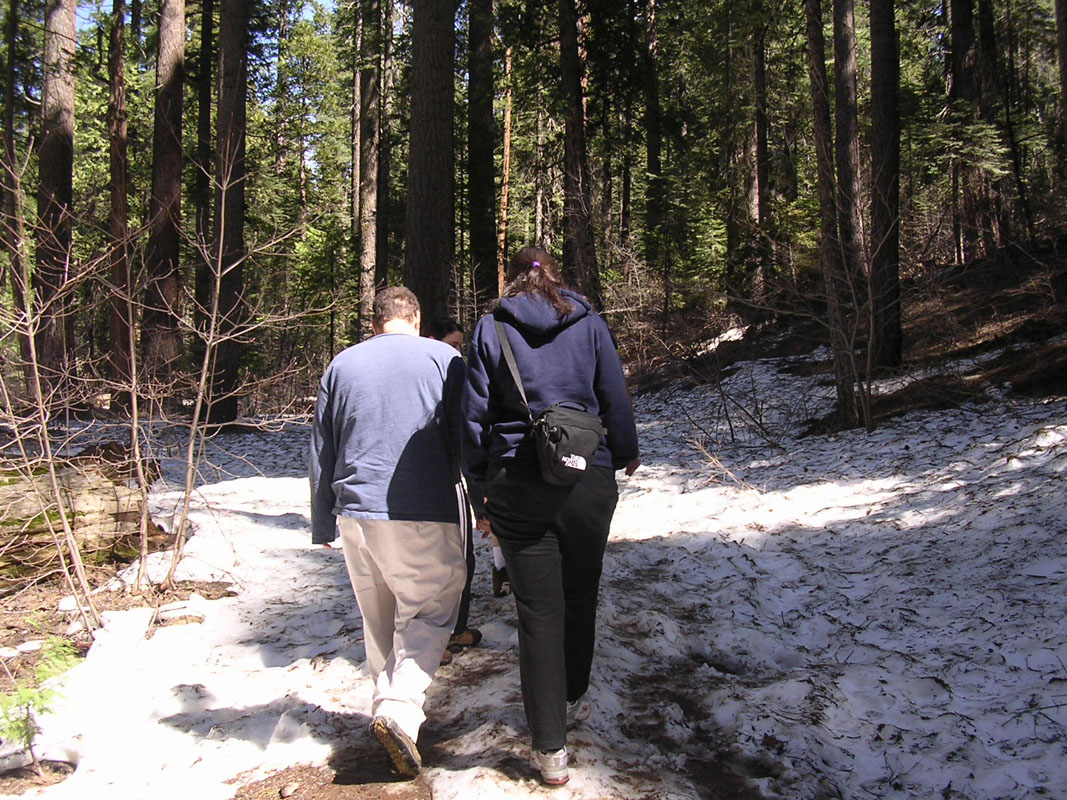 2004 Big Trees 044