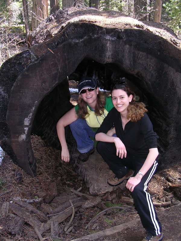 2004 Big Trees 045