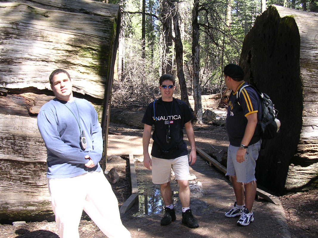 2004 Big Trees 047