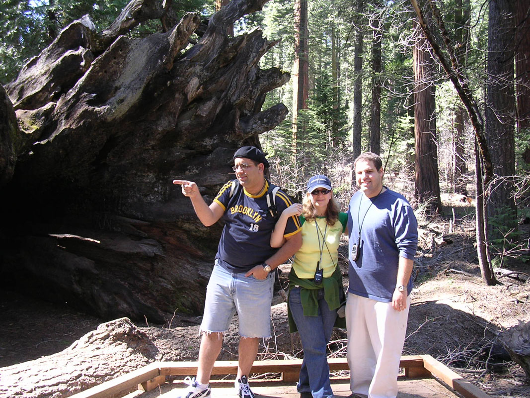 2004 Big Trees 050