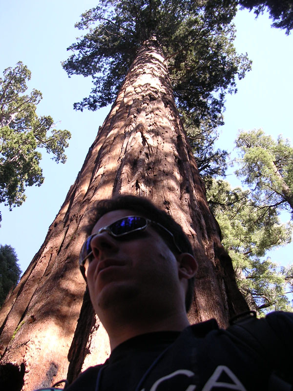 2004 Big Trees 055