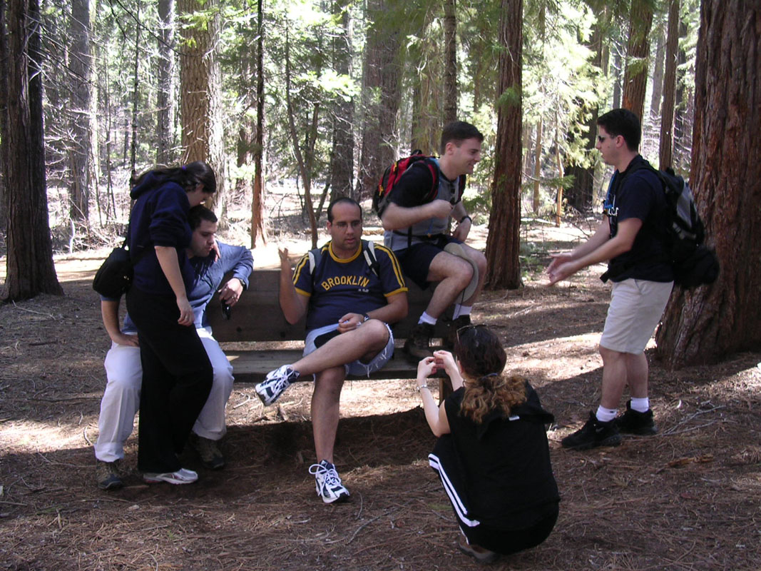 2004 Big Trees 058