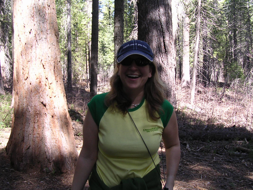 2004 Big Trees 067