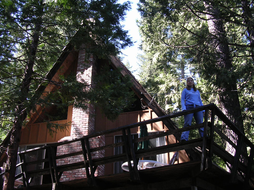 2004 Big Trees 093