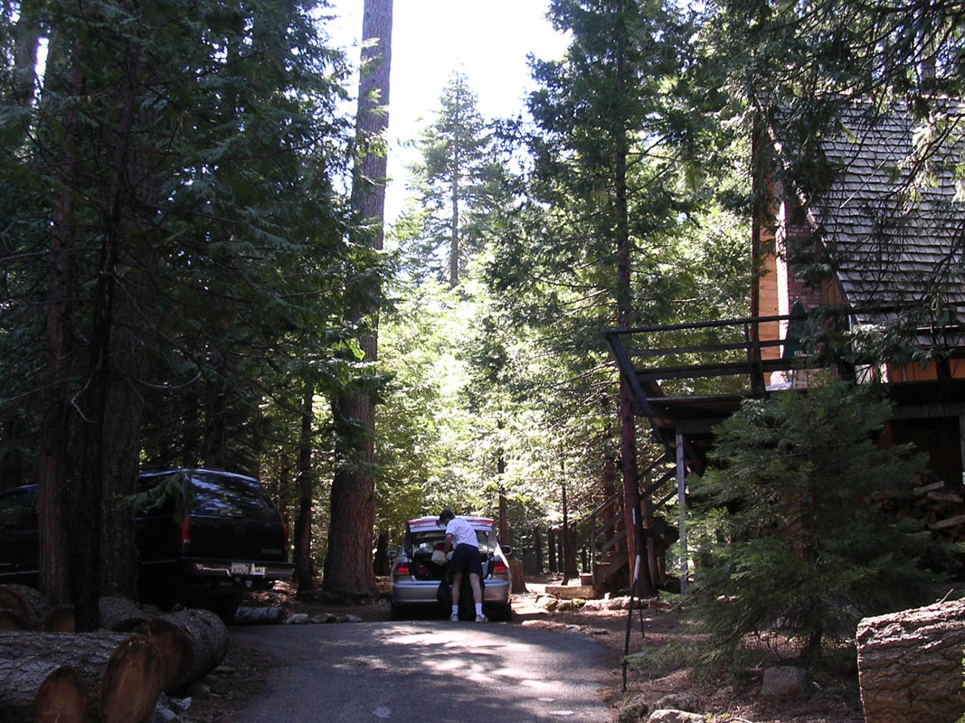 2004 Big Trees 098