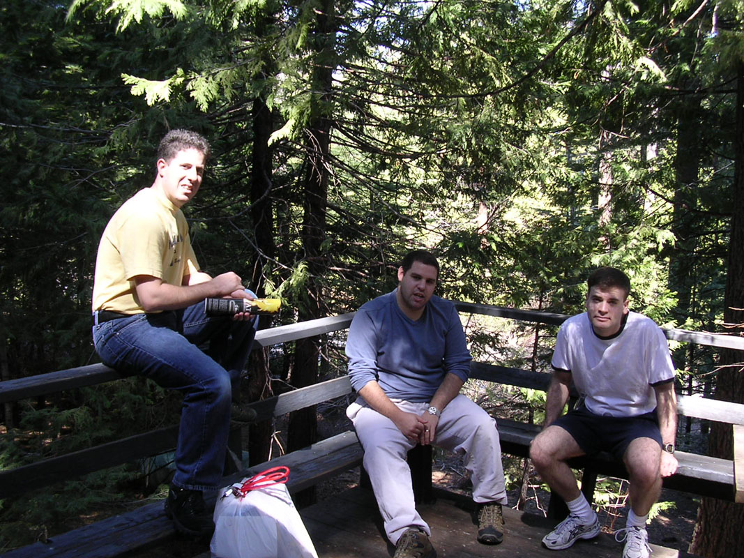 2004 Big Trees 101