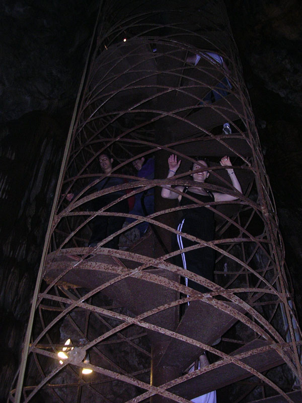 2004 Big Trees 115