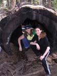 2004 Big Trees 045