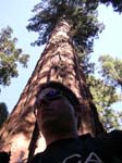 2004 Big Trees 055