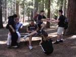 2004 Big Trees 059