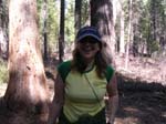 2004 Big Trees 067