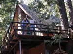 2004 Big Trees 095