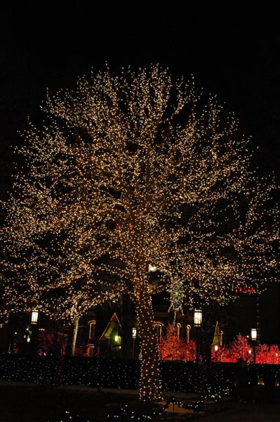 2004 Winter 178